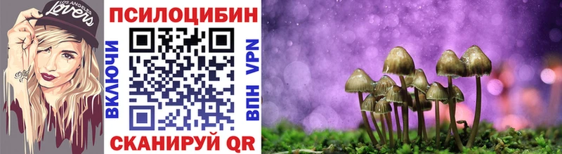 Псилоцибиновые грибы ЛСД MEGA зеркало Торжок